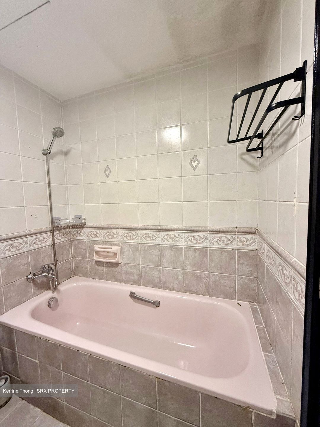 Lorong 40 Geylang (D14), Condominium #483830781